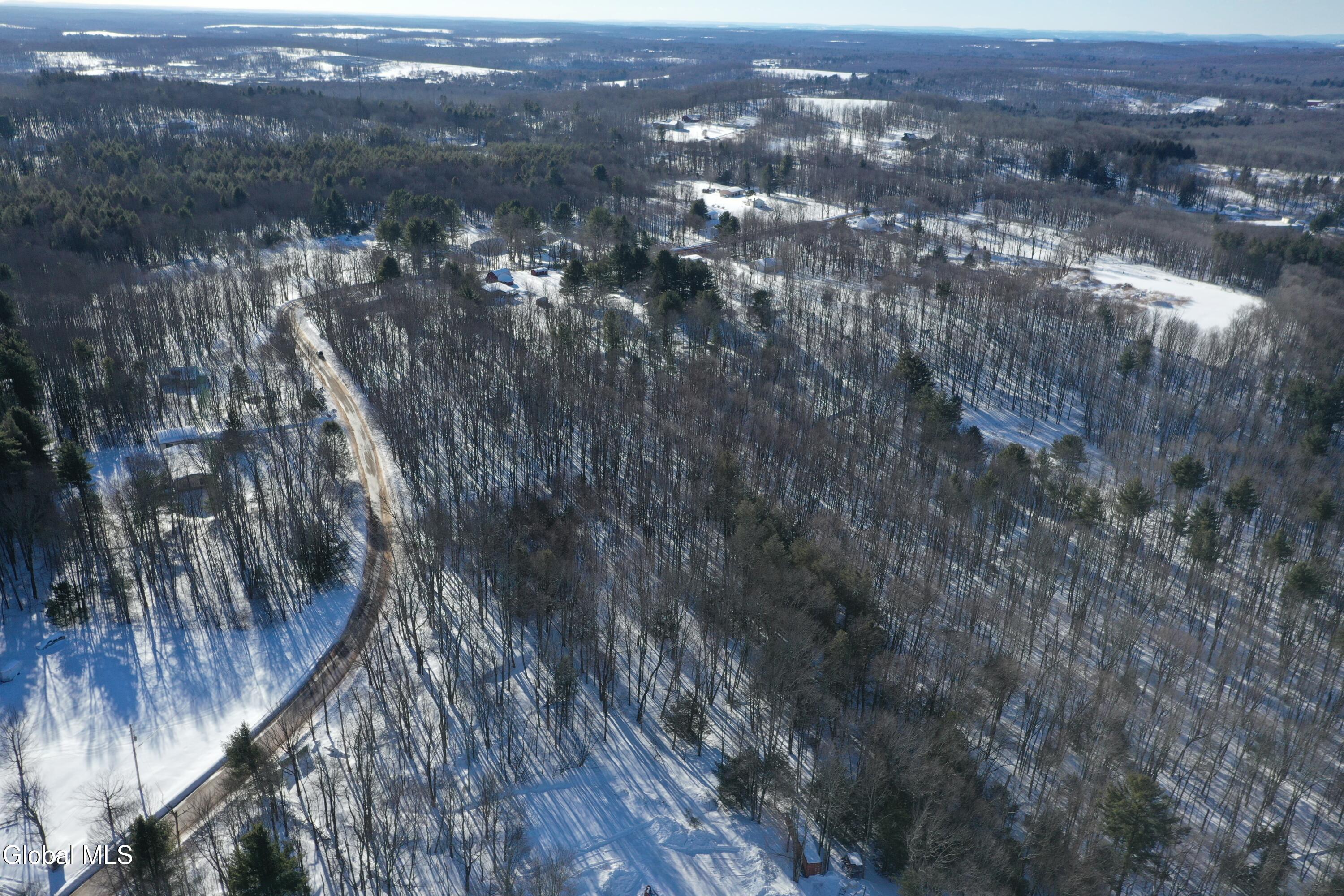 L37.1 Steiglitz Road Liberty, NY 12754 - Photo 9 of 27 DJI_0592 (1)