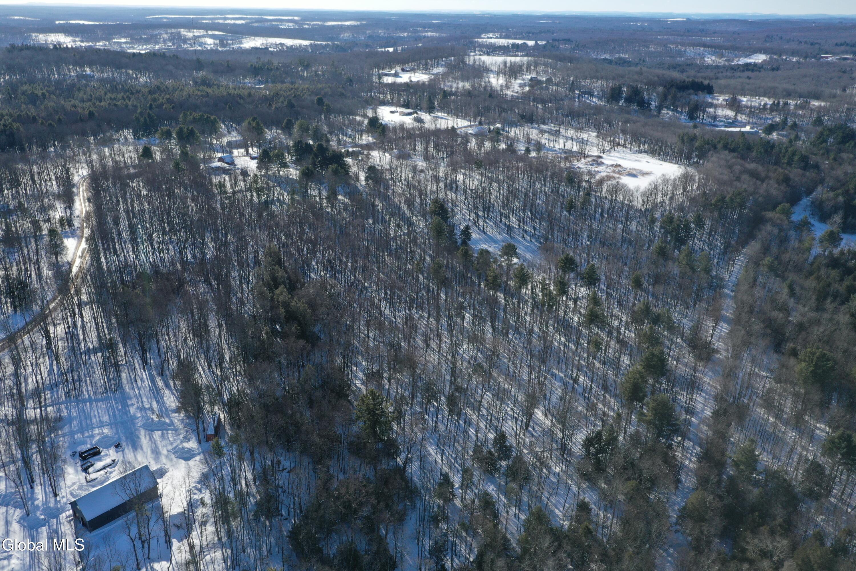 L37.1 Steiglitz Road Liberty, NY 12754 - Photo 10 of 27 DJI_0594 (1)