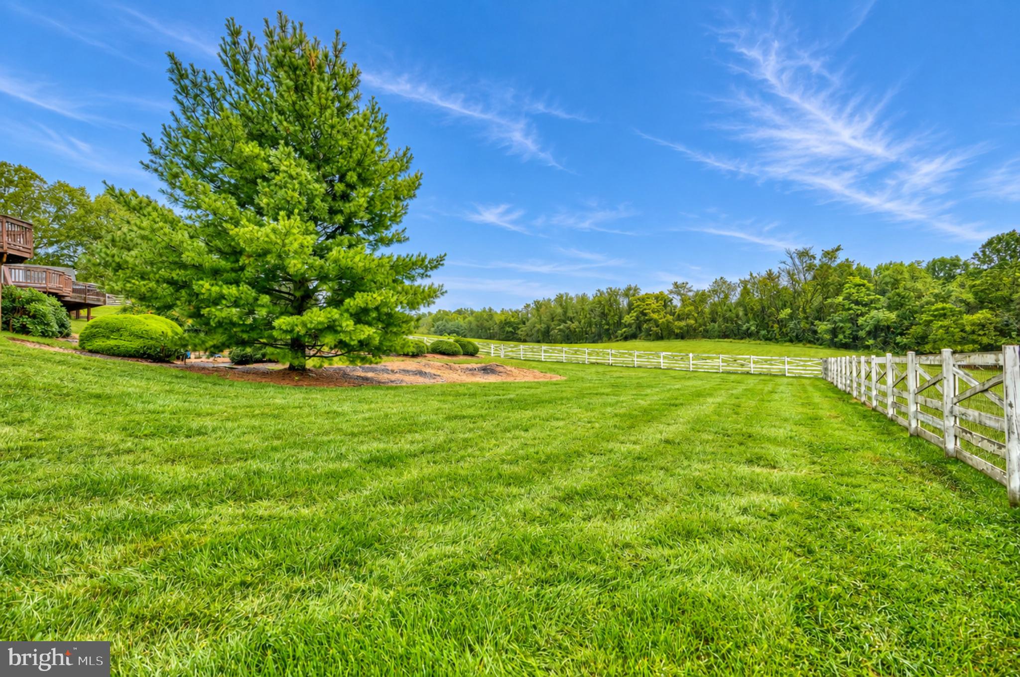 22909 Davis Mill Road Germantown, MD 20876 - Photo 47 of 54 Rear Yard (4 of 4)