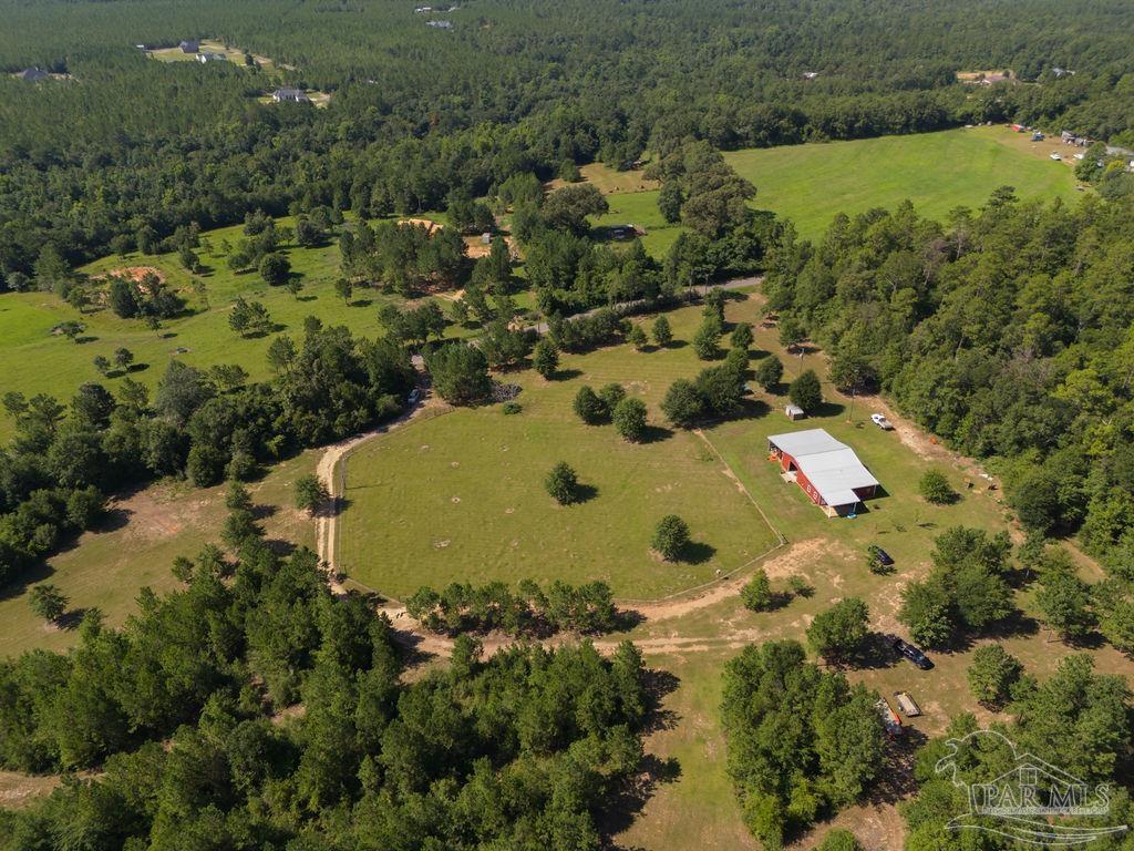 2332 Wade Road Jay, FL 32565 - Photo 4 of 47 Gallery Image 4