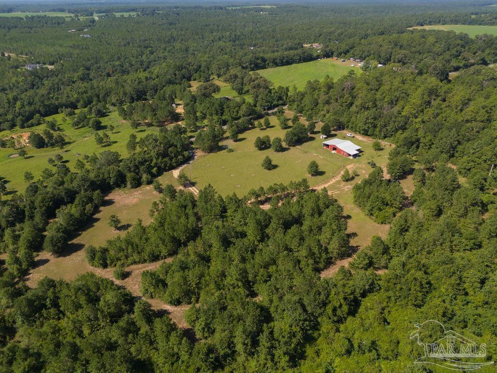 2332 Wade Road Jay, FL 32565 - Photo 5 of 47 Gallery Image 5