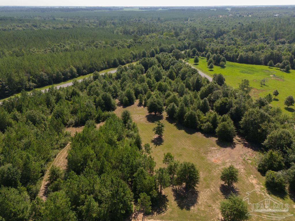 2332 Wade Road Jay, FL 32565 - Photo 8 of 47 Gallery Image 8