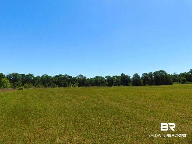 5884 Saroadine Road Brewton, AL 36426 - Photo 34 of 45