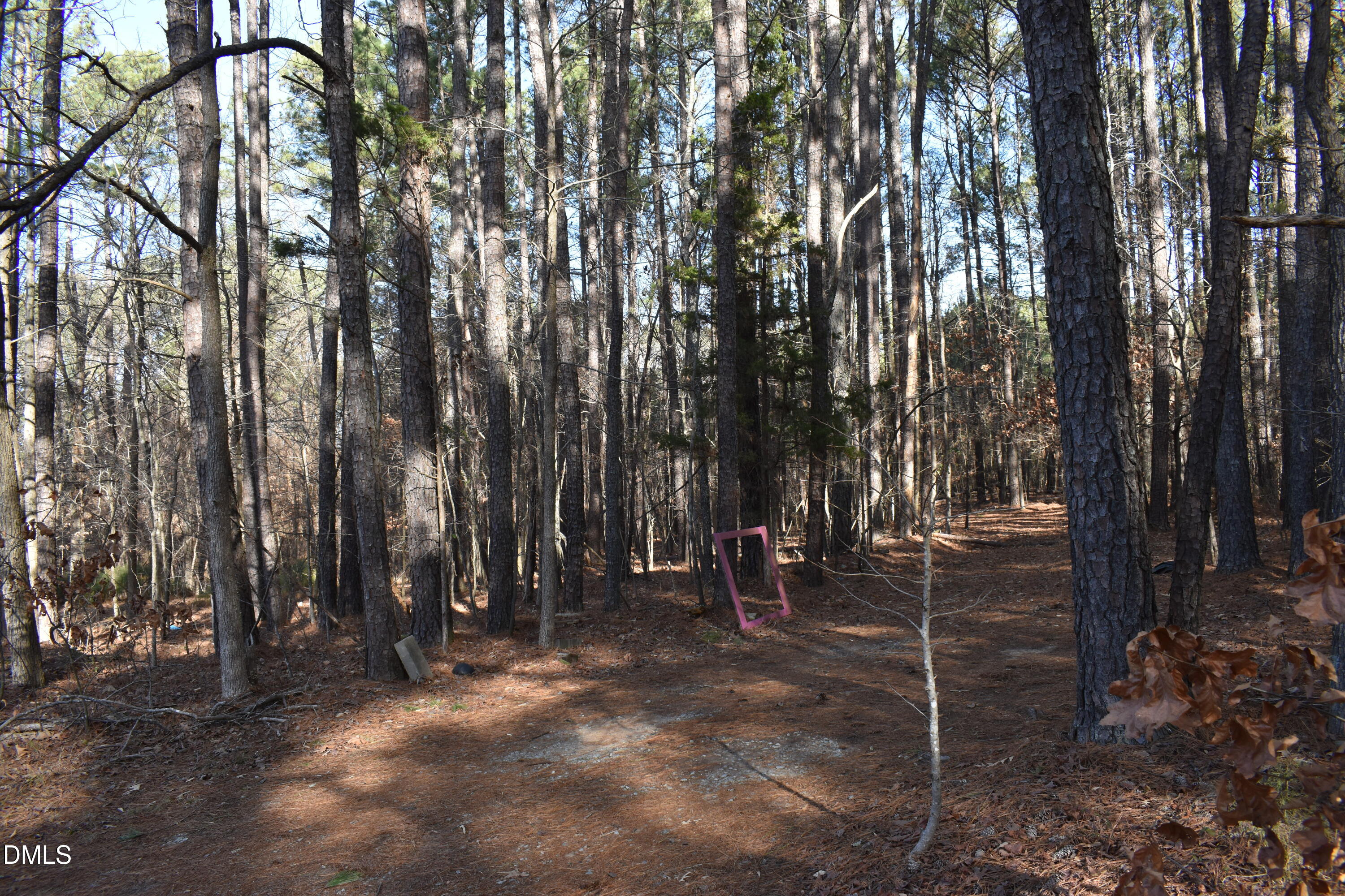 a view of outdoor space with trees