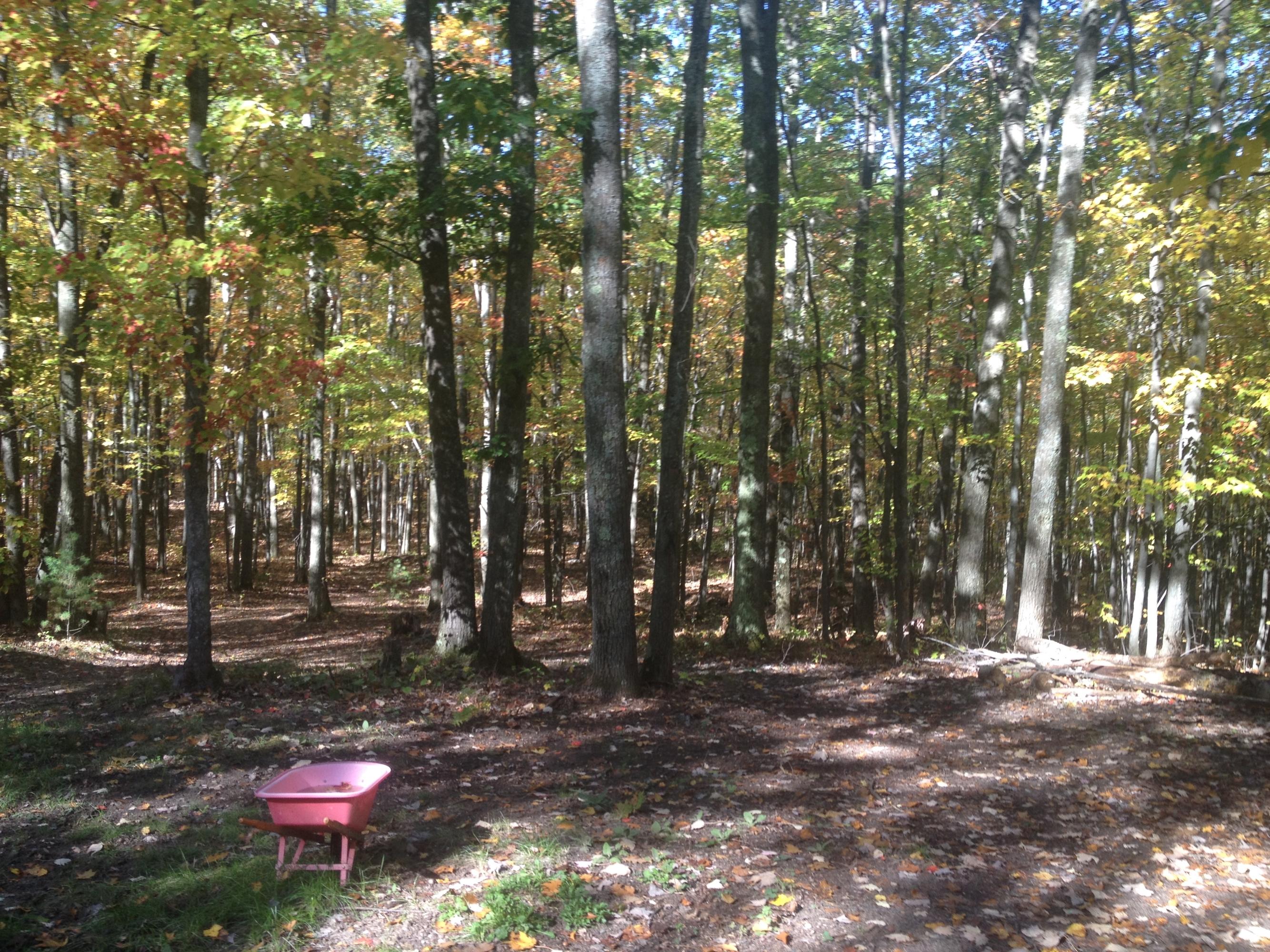 6970 Klein Road Hillman, MI 49746 - Photo 25 of 31 Gallery Image 25