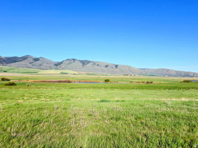 Expansive green fields with distant mountains under a clear blue sky