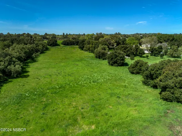 a view of a lush green space