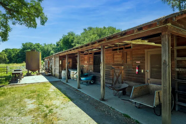 a view of backyard with wheel chair and potted plants