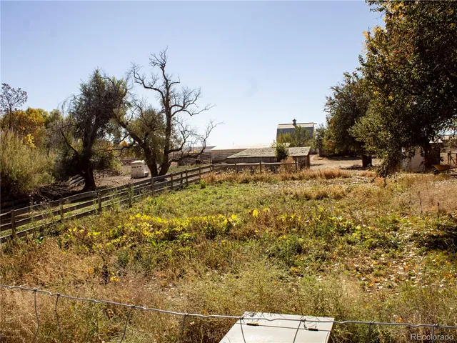 a view of a yard with yellow lighting