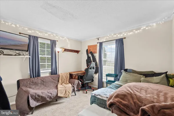 a living room with furniture window and a fireplace