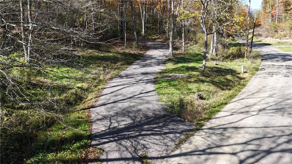a backyard of a house with a yard and large tree
