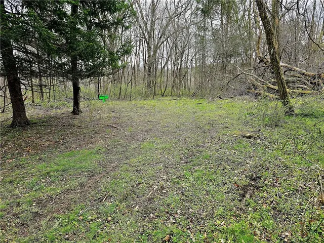 a view of outdoor space with trees all around