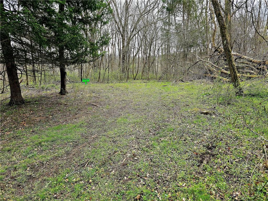 100 Jersey Hollow Road Confluence, PA 15424 - Photo 11 of 29 a view of outdoor space with trees all around