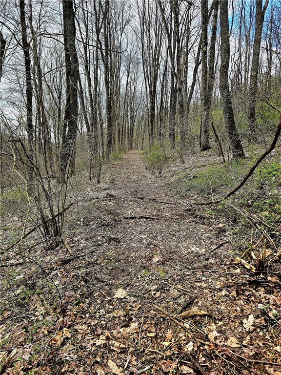 100 Jersey Hollow Road Confluence, PA 15424 - Photo 12 of 29 a view of a forest with trees in the background