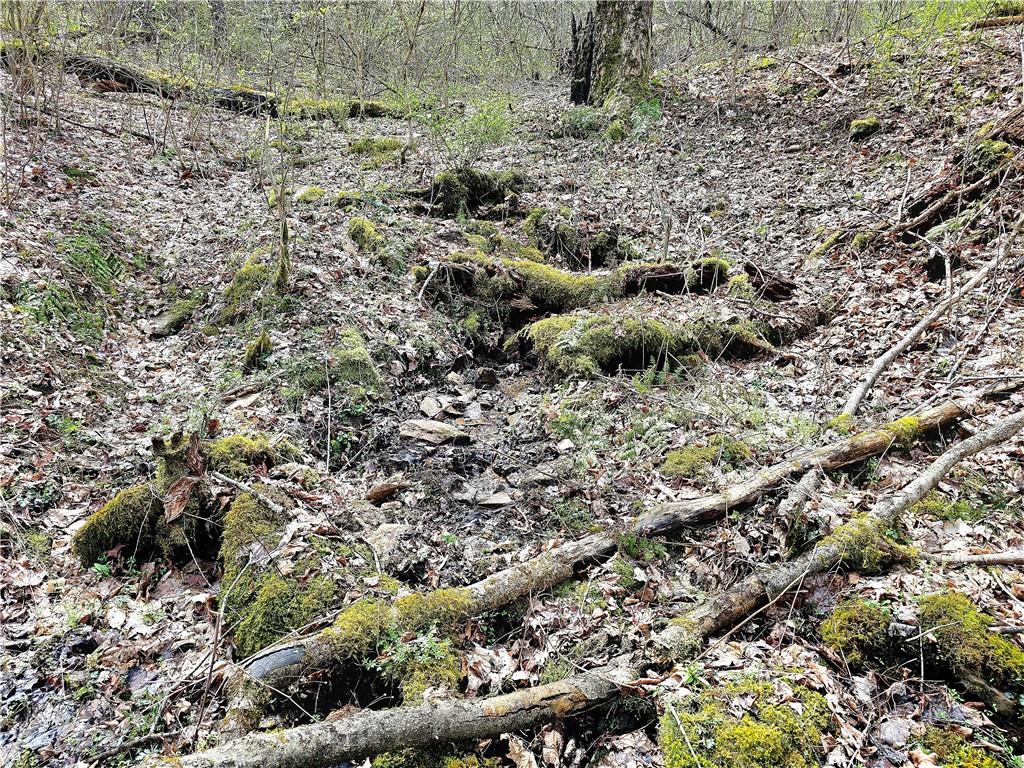 100 Jersey Hollow Road Confluence, PA 15424 - Photo 24 of 29 a view of a dry field covered with trees