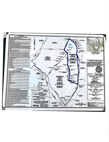 a view of a tree in a yard