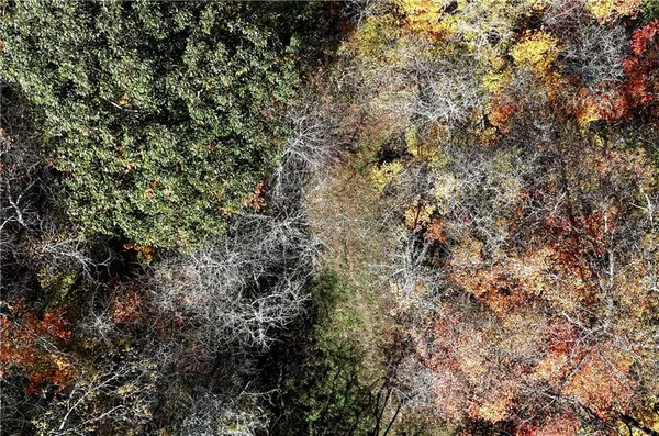 $289,500 | 100 Jersey Hollow Road, Confluence, PA 15424