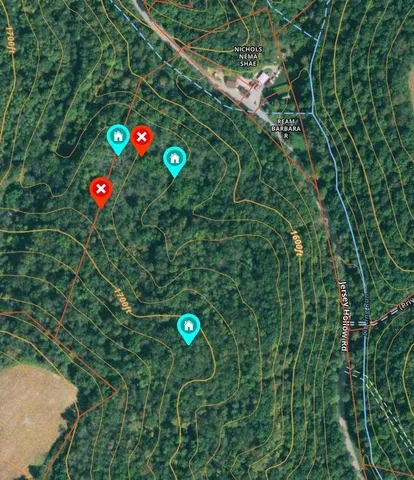 a view of a tree in a yard