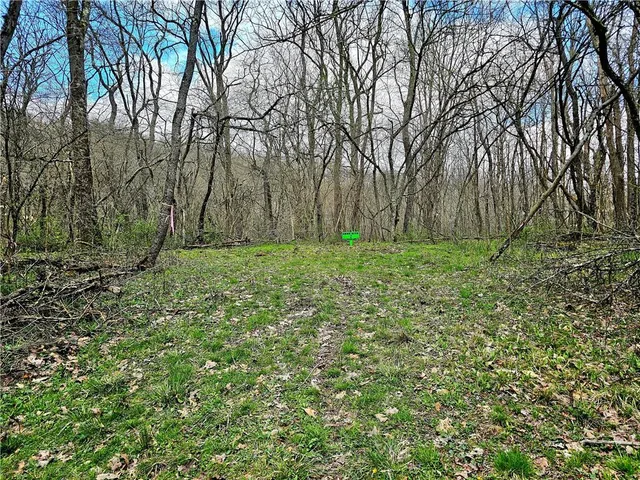 a view of a green field with lots of bushes