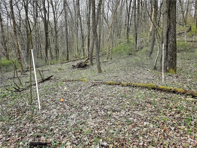 a view of outdoor space with green space