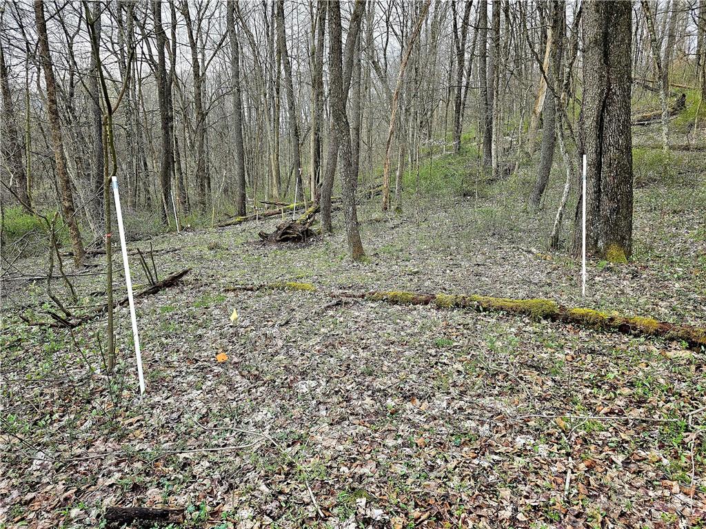 100 Jersey Hollow Road Confluence, PA 15424 - Photo 10 of 29 a view of outdoor space with green space