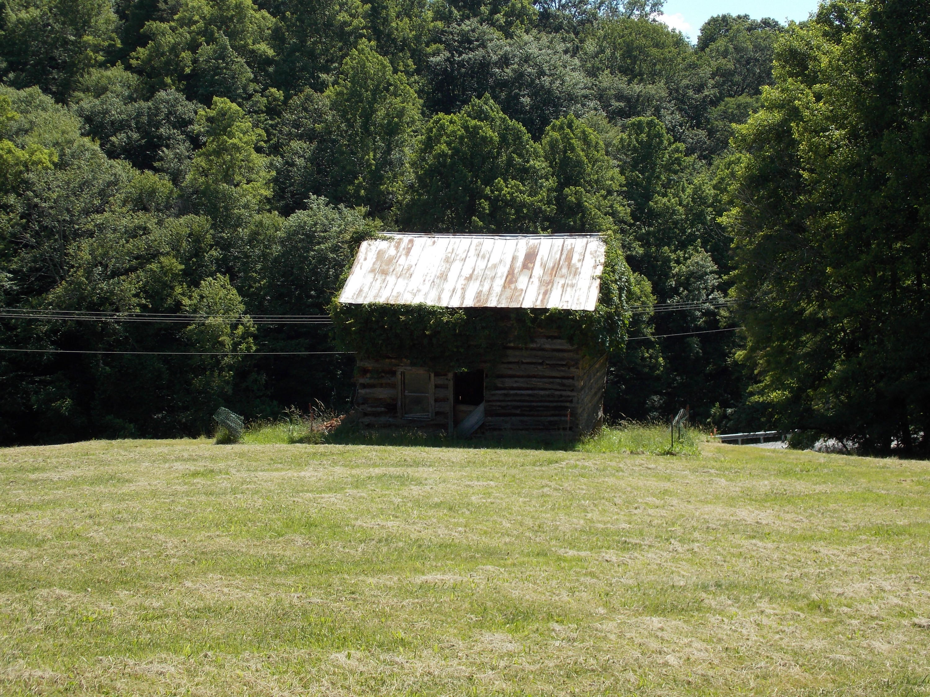 4147 Webbs Mill Road North Riner, VA 24149 - Photo 20 of 53 a view of swimming pool with a yard