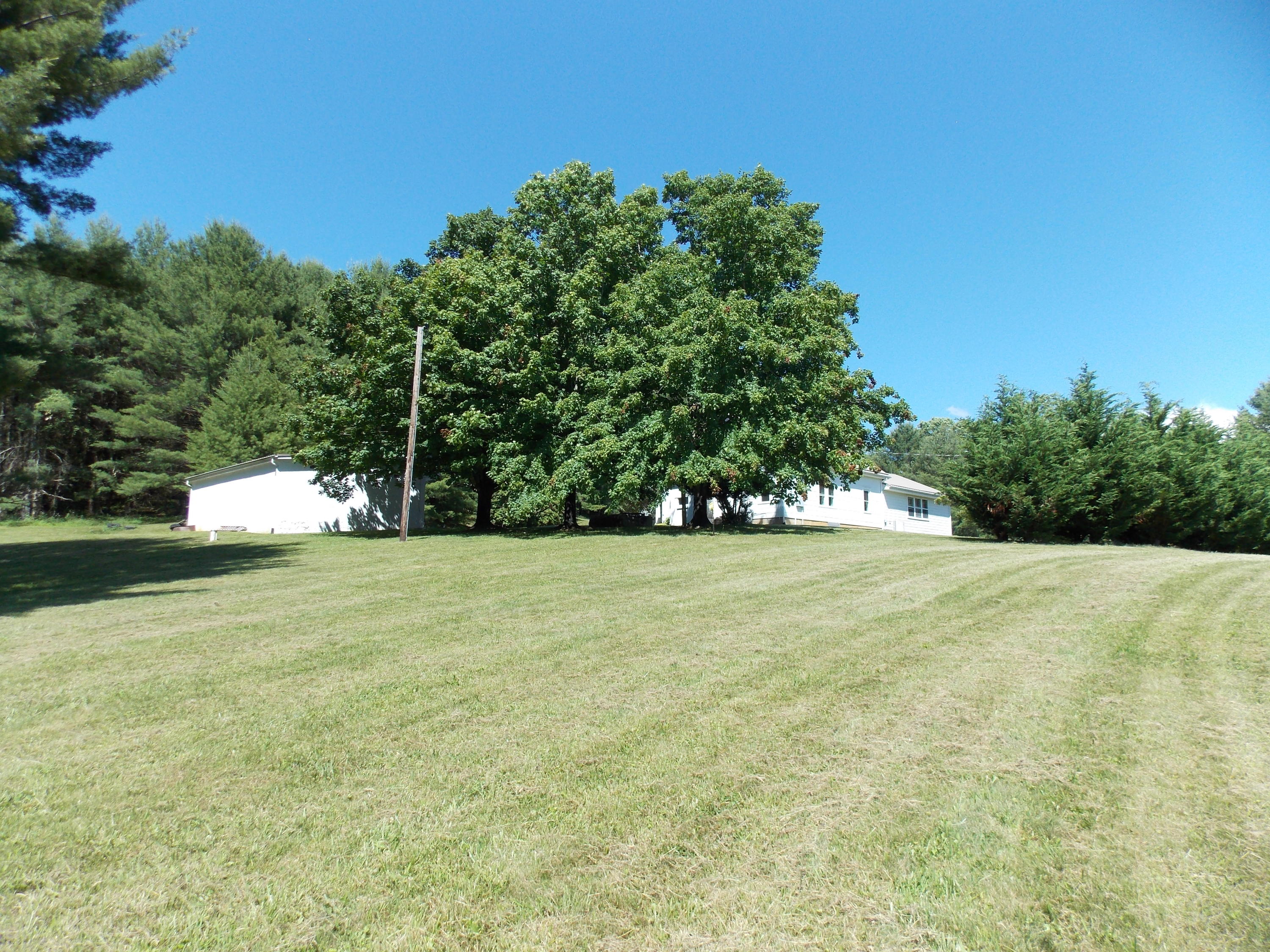 4147 Webbs Mill Road North Riner, VA 24149 - Photo 21 of 53 a view of a trees with a yard