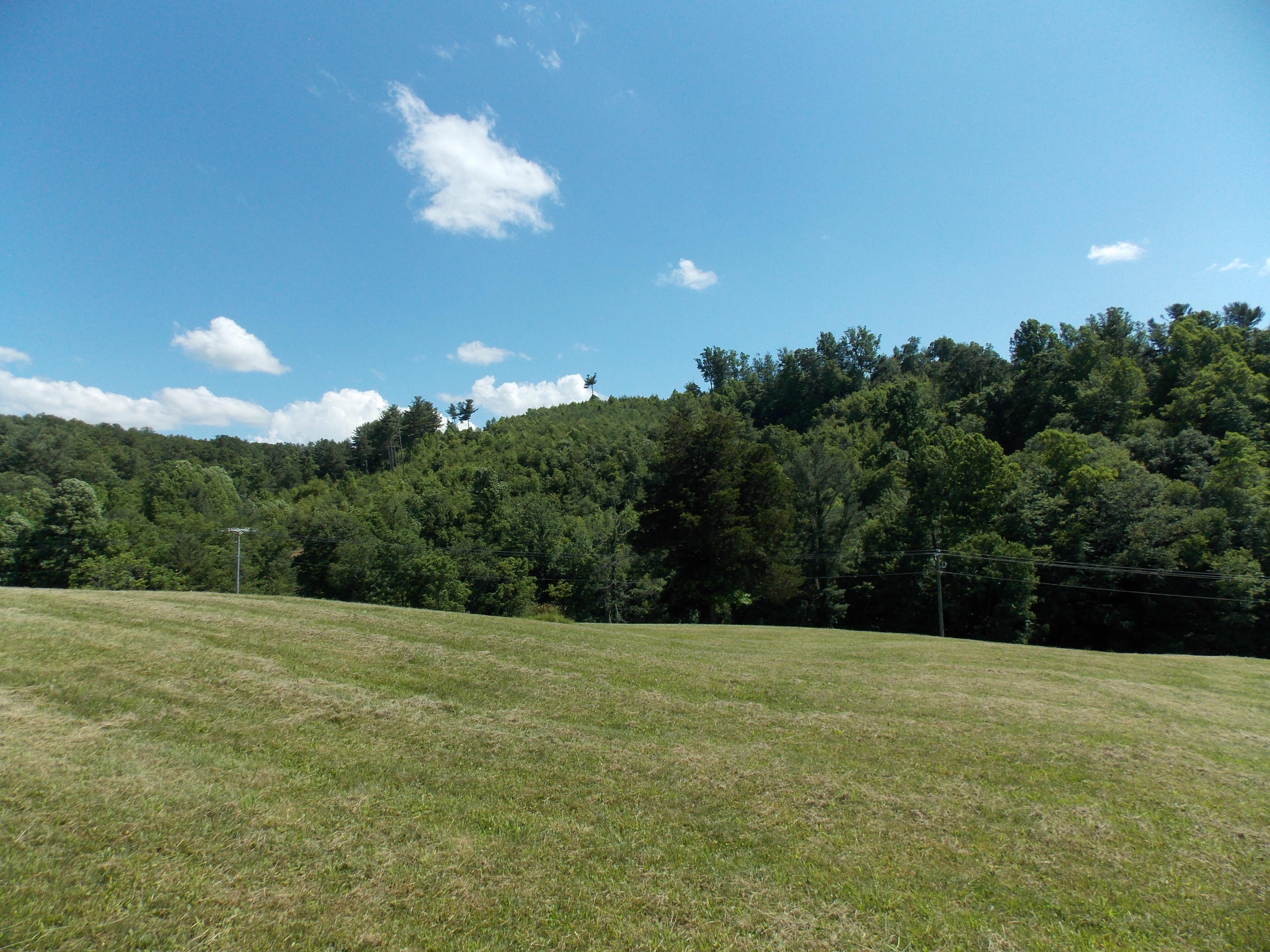 4147 Webbs Mill Road North Riner, VA 24149 - Photo 23 of 53 a view of a green field