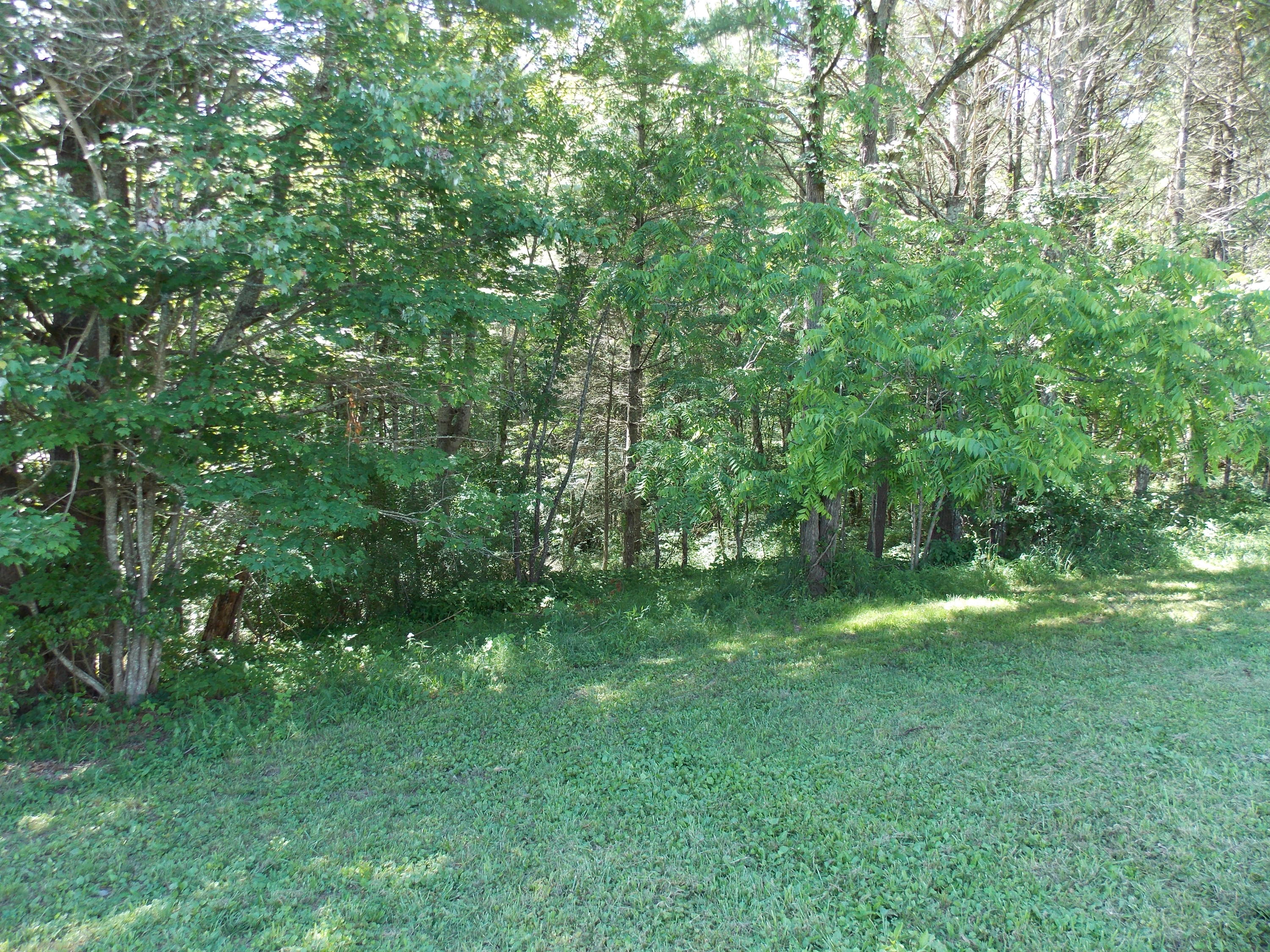 4147 Webbs Mill Road North Riner, VA 24149 - Photo 25 of 53 a view of yard with green space