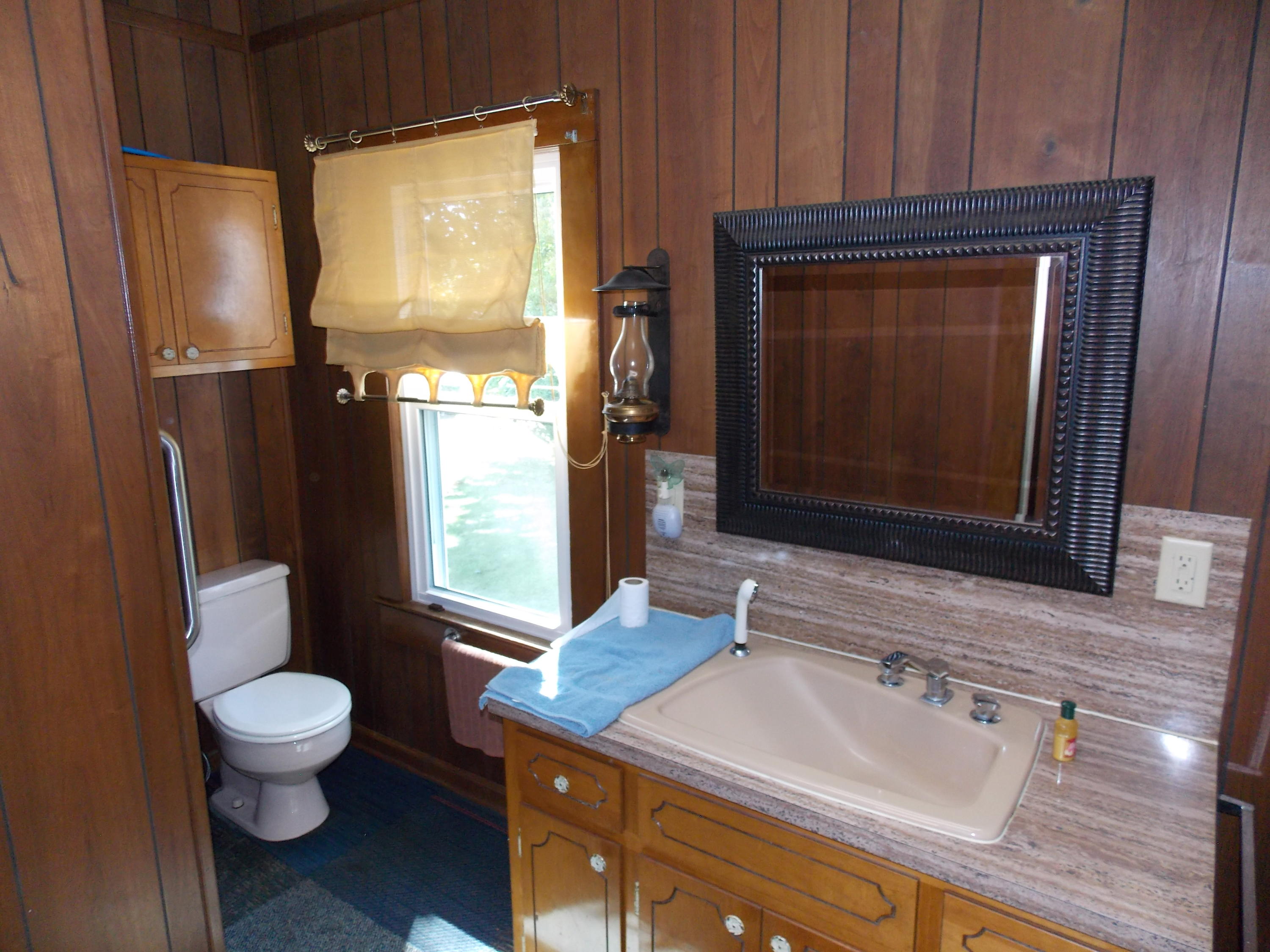 4147 Webbs Mill Road North Riner, VA 24149 - Photo 43 of 53 a bathroom with a sink a toilet and mirror