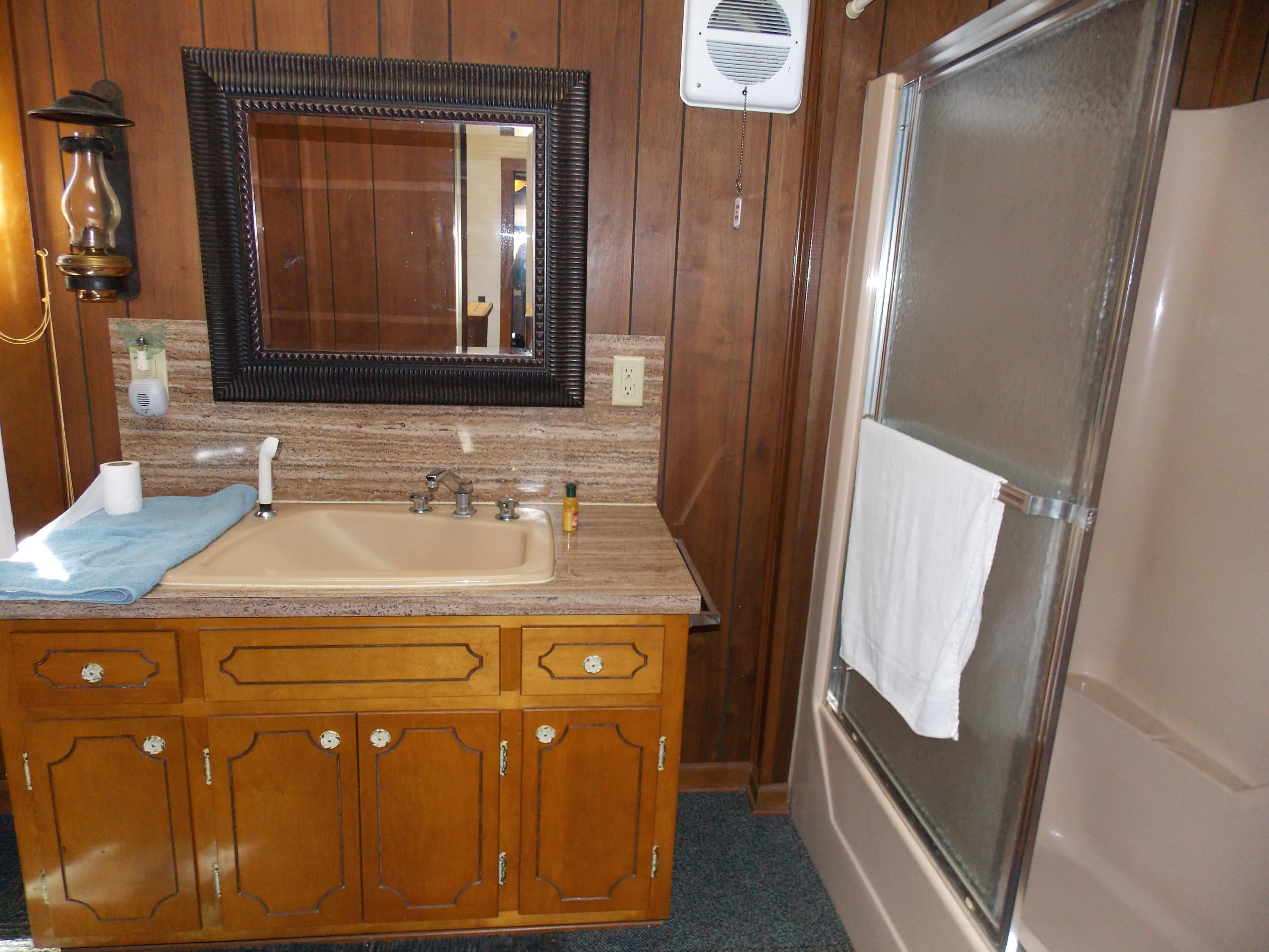 4147 Webbs Mill Road North Riner, VA 24149 - Photo 44 of 53 a view of a sink and a mirror