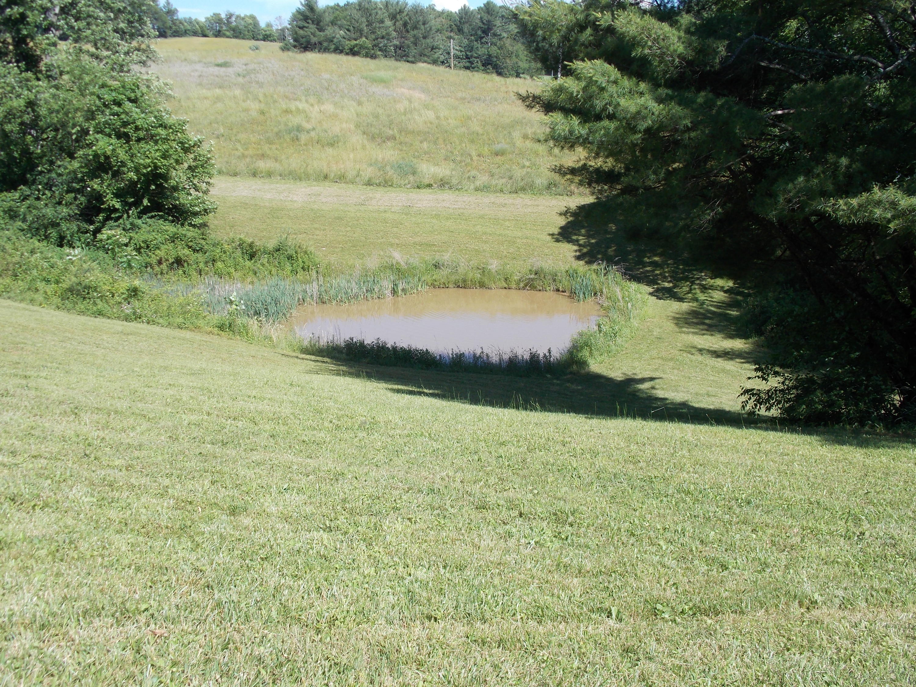 4147 Webbs Mill Road North Riner, VA 24149 - Photo 51 of 53 a view of a lake with a yard