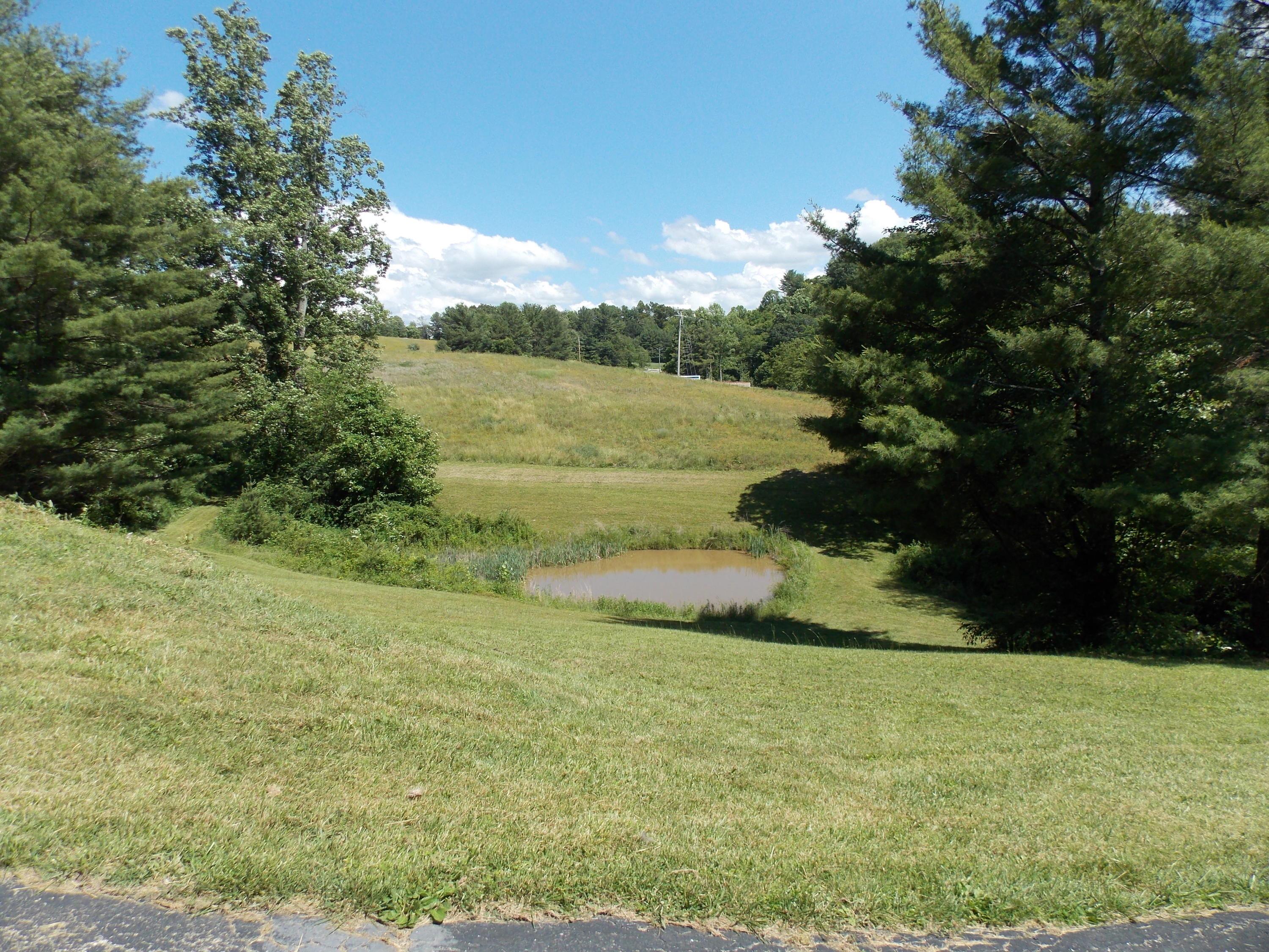 4147 Webbs Mill Road North Riner, VA 24149 - Photo 10 of 53 a view of a lake with a yard