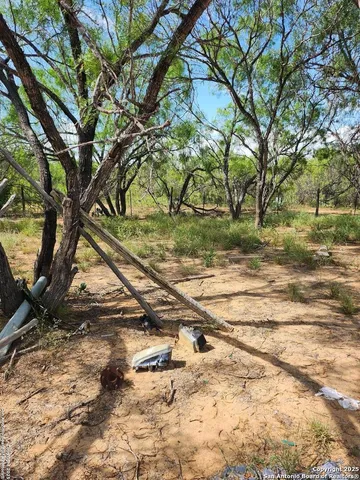 a view of yard with large trees