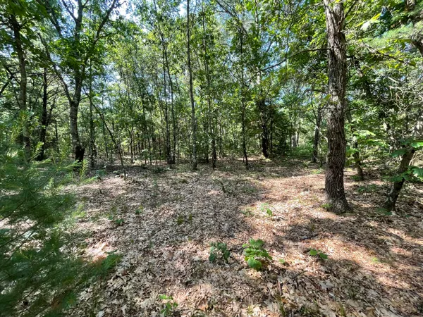 $330,000 | Ewing Road, Holton, MI 49425