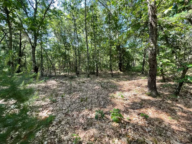 $330,000 | Ewing Road, Holton, MI 49425