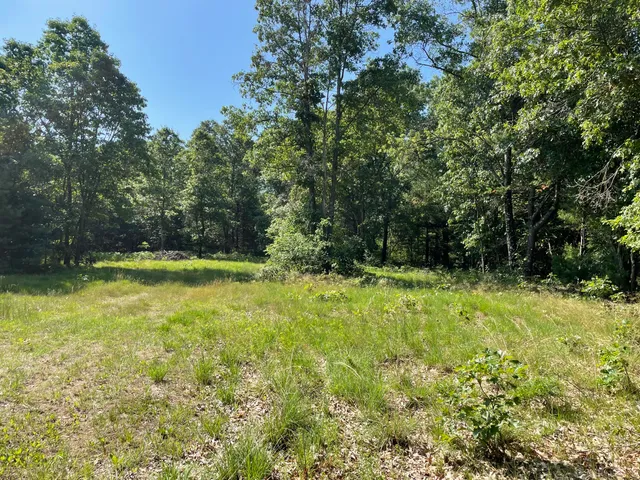 $330,000 | Ewing Road, Holton, MI 49425