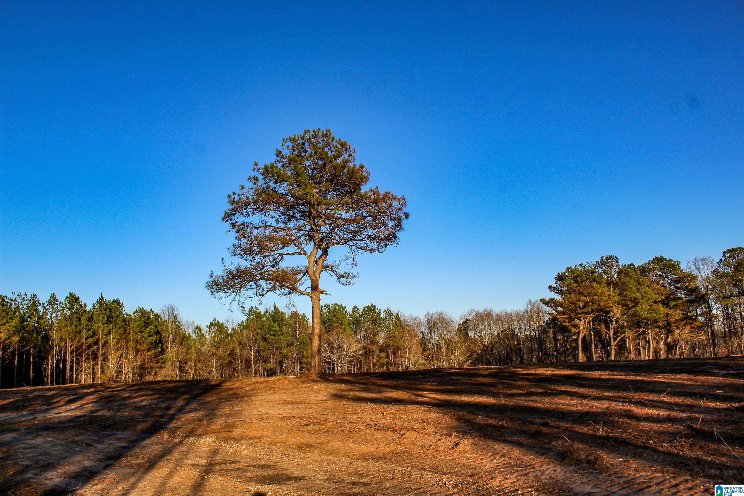 3379 County Road 80, Unit 1 Addison, AL 35540 - Photo 48 of 53