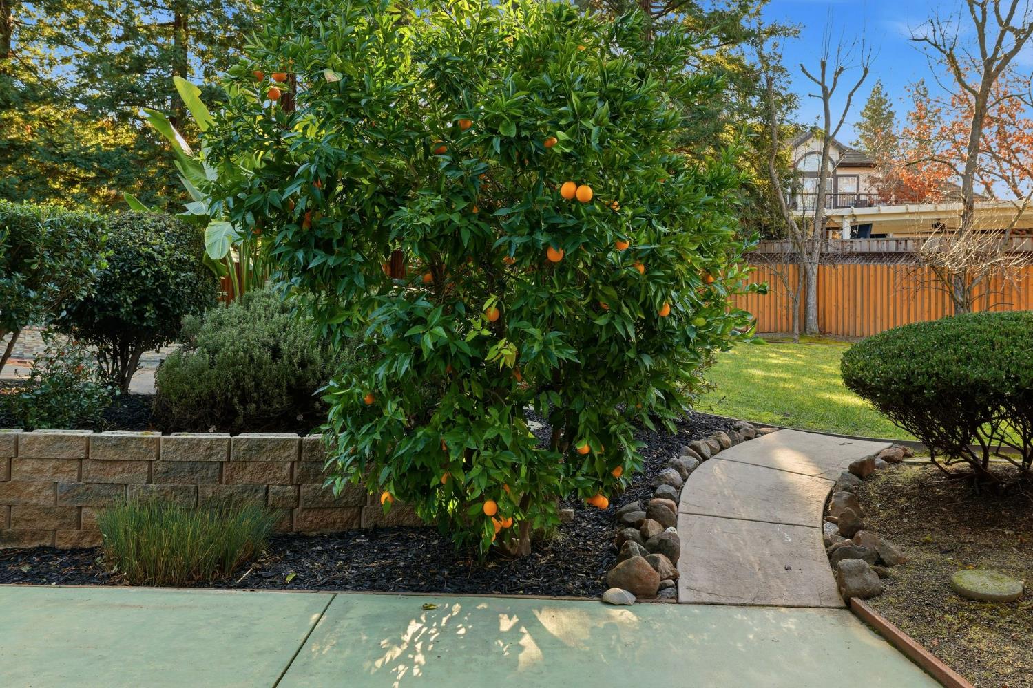 105 Wolcot Court Folsom, CA 95630 - Photo 59 of 76