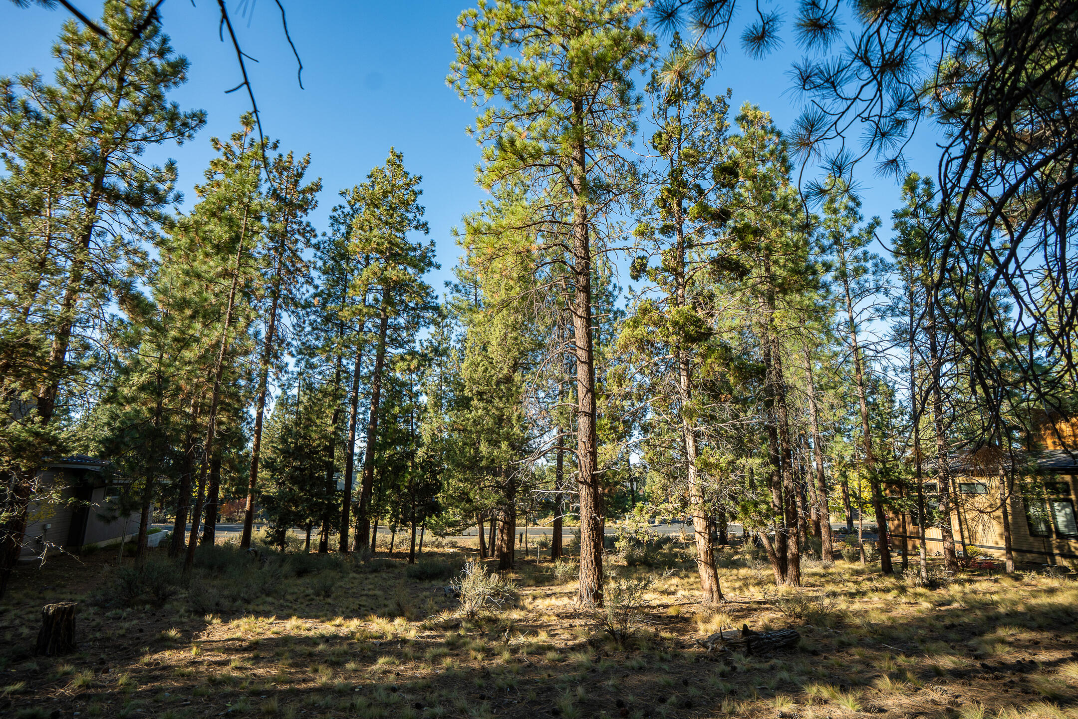 61464 Meeks Trail Bend, OR 97702 - Photo 5 of 16 04