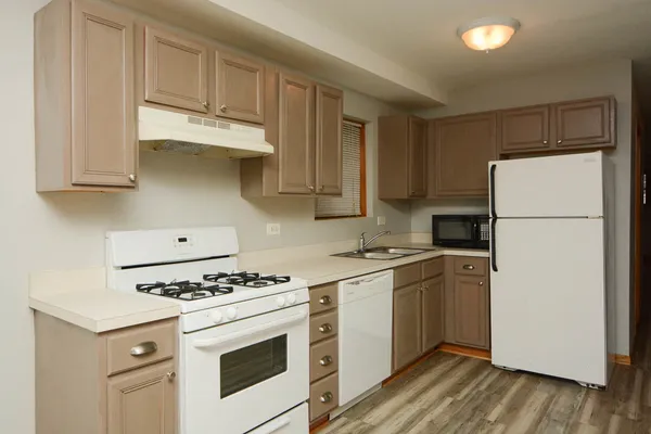 $1,900 | 1420 West Ohio Street, Unit GARDEN, Chicago, IL 60642