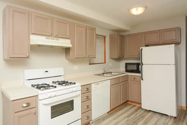 $1,900 | 1420 West Ohio Street, Unit GARDEN, Chicago, IL 60642