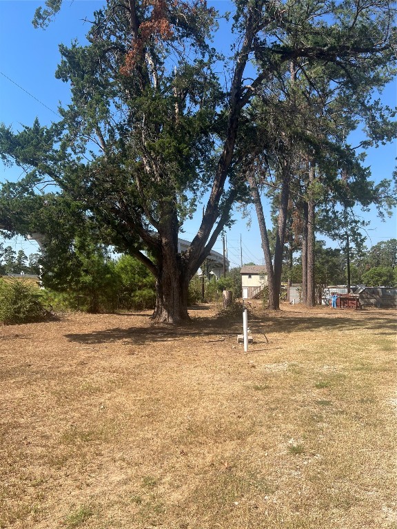 538 Lesa Lane Spring, TX 77373 - Photo 11 of 12