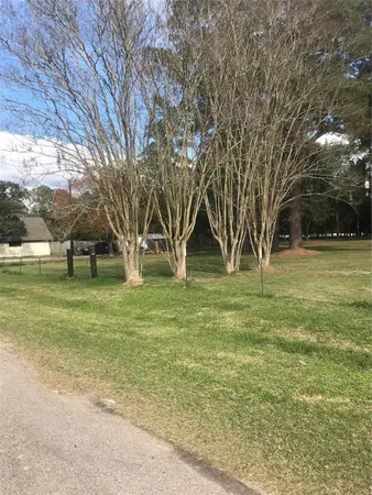 a view of a park with large trees