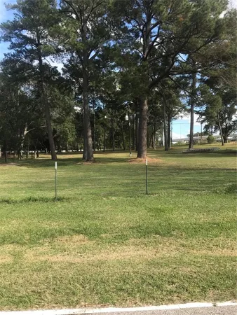 a big yard with lots of trees