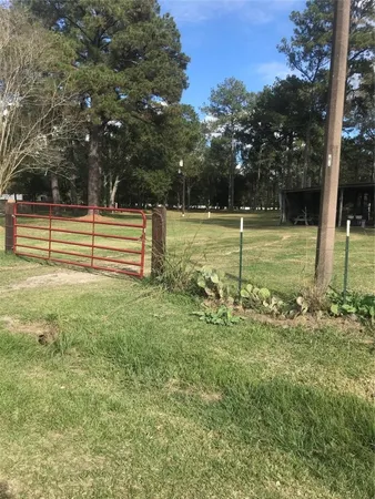 a view of a yard with large trees