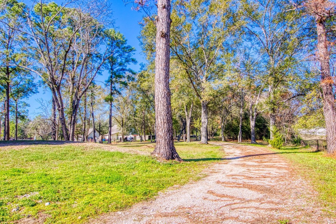 538 Lesa Lane Spring, TX 77373 - Photo 9 of 12