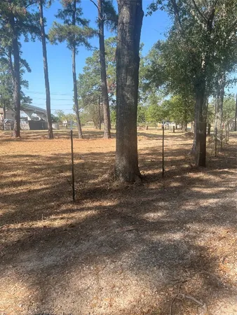 a view of a yard with tree s