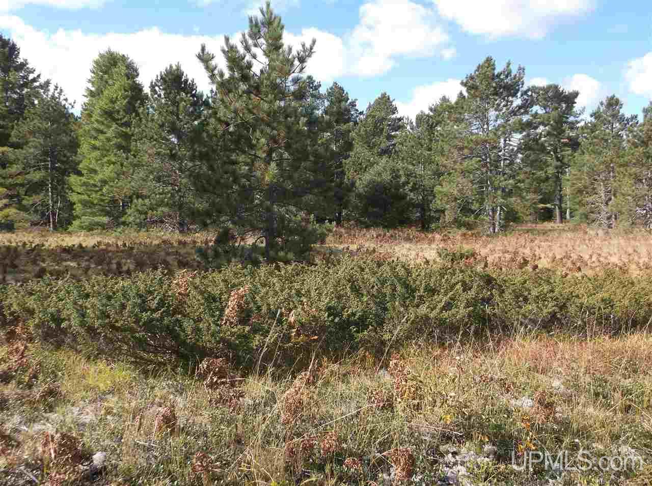 Tbd Bete Gris Road, Unit 26 & 37 Mohawk, MI 49950 - Photo 4 of 22 Gallery Image 4
