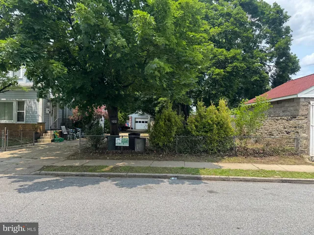 a view of a yard with plants